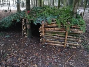 kinder survival wald